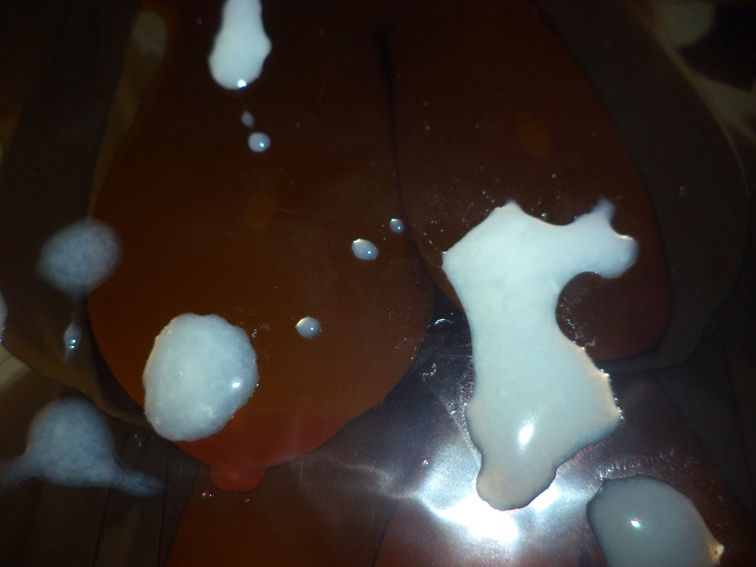 cum tribute - futa Rouge the bat #ImTylrEX